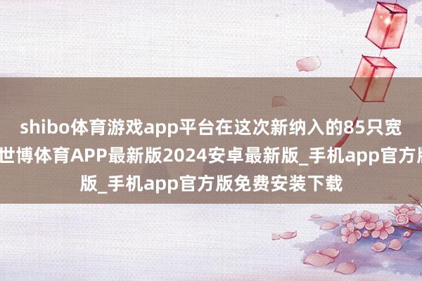 shibo体育游戏app平台在这次新纳入的85只宽基指数家具中-世博体育APP最新版2024安卓最新版_手机app官方版免费安装下载