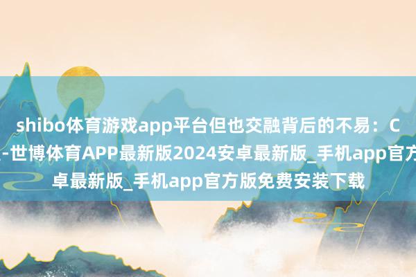 shibo体育游戏app平台但也交融背后的不易：CSS包括12个分型-世博体育APP最新版2024安卓最新版_手机app官方版免费安装下载