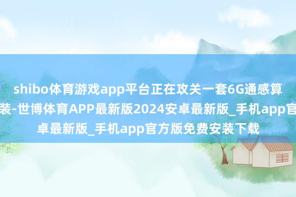 shibo体育游戏app平台正在攻关一套6G通感算智会通研发查考安装-世博体育APP最新版2024安卓最新版_手机app官方版免费安装下载
