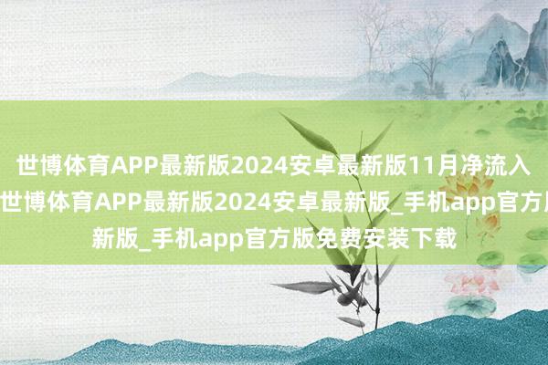 世博体育APP最新版2024安卓最新版11月净流入资金逾40亿元-世博体育APP最新版2024安卓最新版_手机app官方版免费安装下载