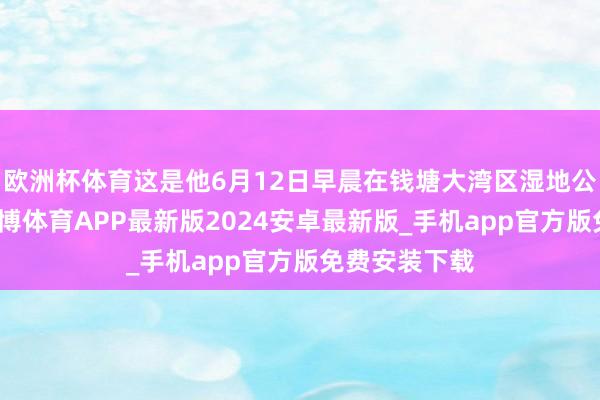欧洲杯体育这是他6月12日早晨在钱塘大湾区湿地公园拍到的-世博体育APP最新版2024安卓最新版_手机app官方版免费安装下载