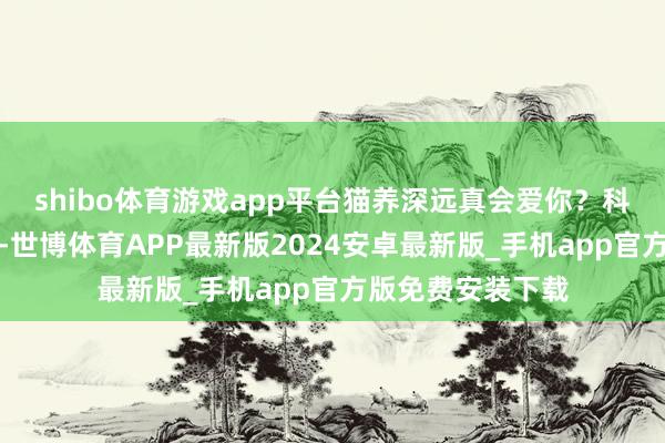 shibo体育游戏app平台猫养深远真会爱你？科学考证暖心真相-世博体育APP最新版2024安卓最新版_手机app官方版免费安装下载