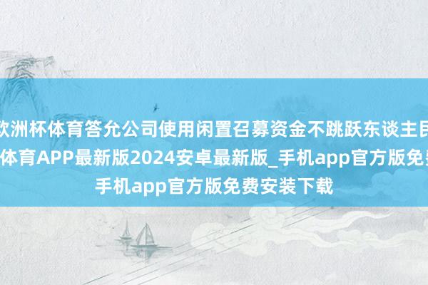 欧洲杯体育答允公司使用闲置召募资金不跳跃东谈主民币40-世博体育APP最新版2024安卓最新版_手机app官方版免费安装下载
