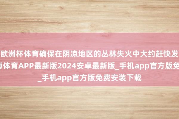 欧洲杯体育确保在阴凉地区的丛林失火中大约赶快发扬作用-世博体育APP最新版2024安卓最新版_手机app官方版免费安装下载