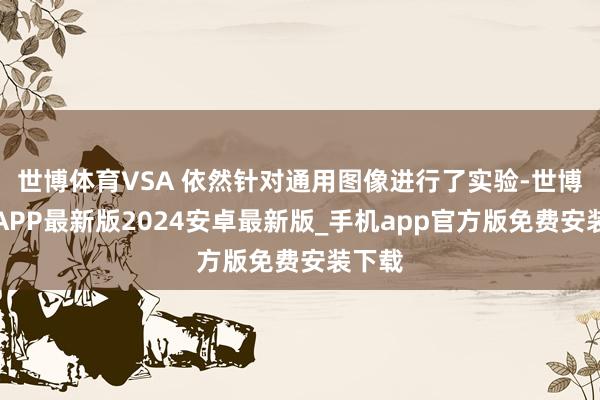 世博体育VSA 依然针对通用图像进行了实验-世博体育APP最新版2024安卓最新版_手机app官方版免费安装下载