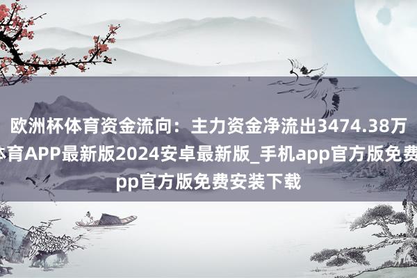 欧洲杯体育资金流向:主力资金净流出3474.38万元-世博体育APP最新版2024安卓最新版_手机app官方版免费安装下载