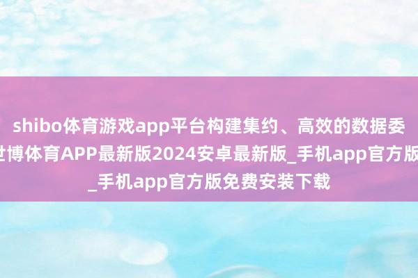 shibo体育游戏app平台构建集约、高效的数据委用基础活动-世博体育APP最新版2024安卓最新版_手机app官方版免费安装下载