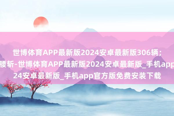世博体育APP最新版2024安卓最新版306辆;而特斯拉的销量着实腰斩-世博体育APP最新版2024安卓最新版_手机app官方版免费安装下载