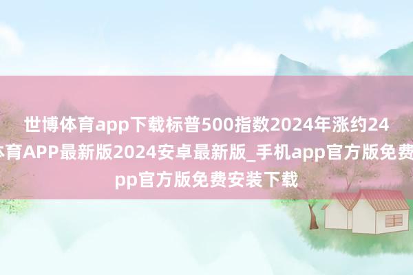 世博体育app下载标普500指数2024年涨约24%-世博体育APP最新版2024安卓最新版_手机app官方版免费安装下载